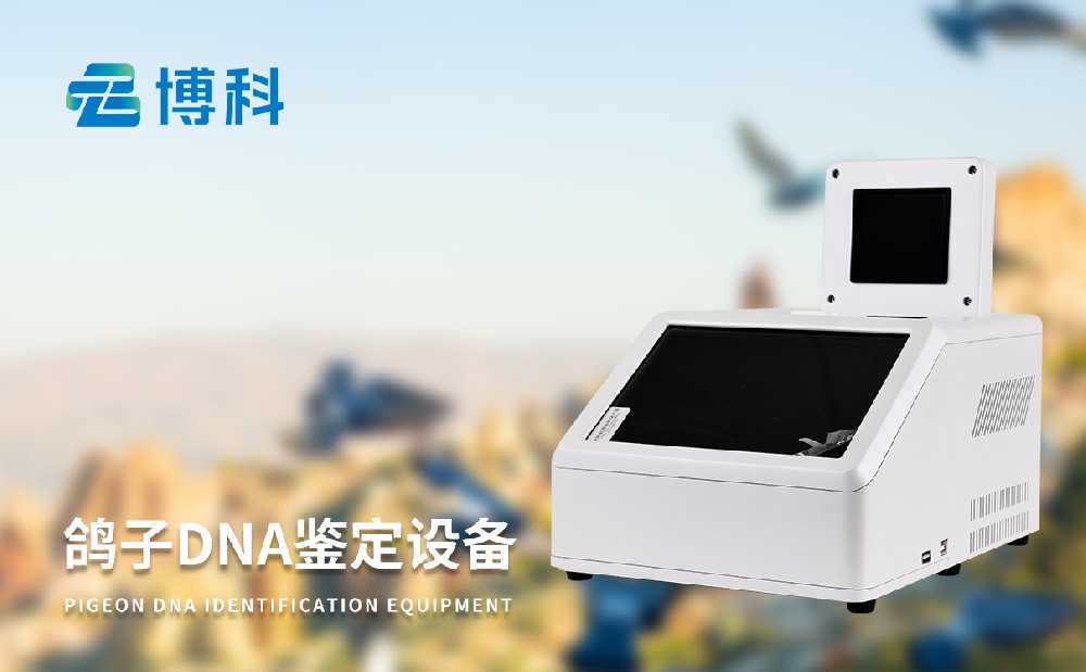 鴿子dna檢測(cè)儀器